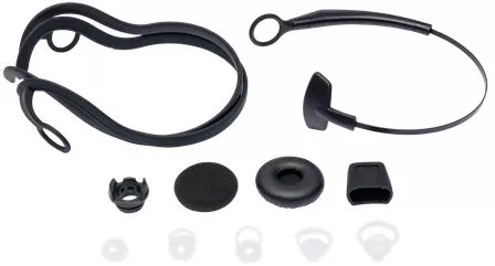 Фотография товара 'Jabra 204209'